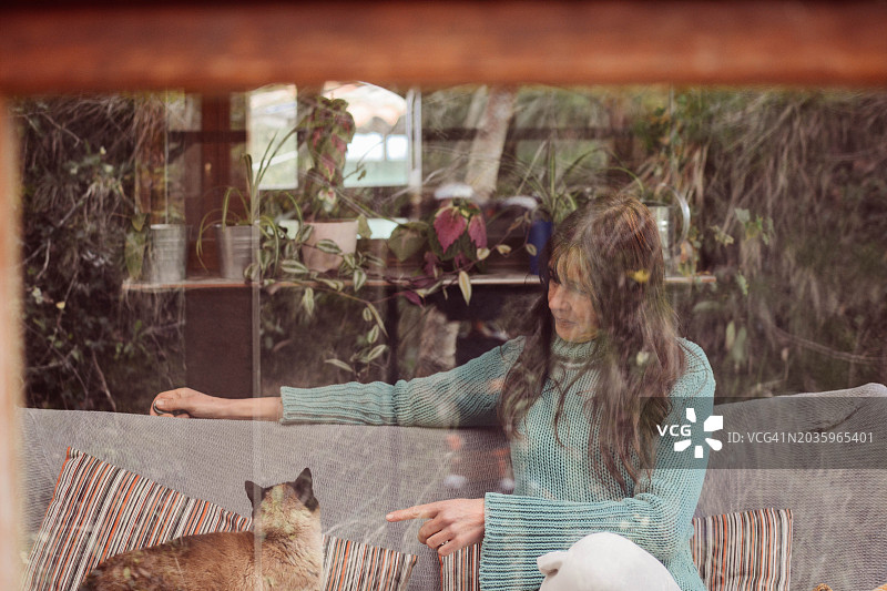 女人和她的猫在客厅窗边，从外面看图片素材