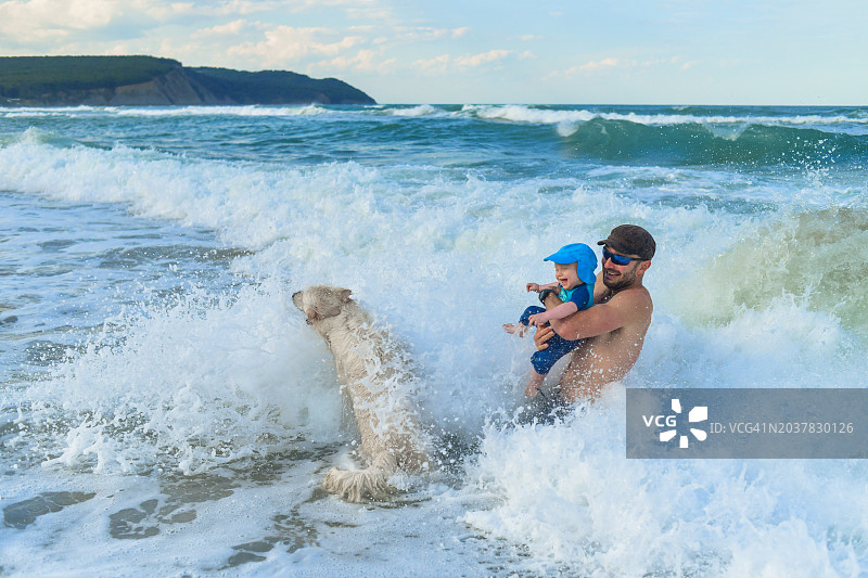 父亲、男婴和狗在海中逐浪图片素材