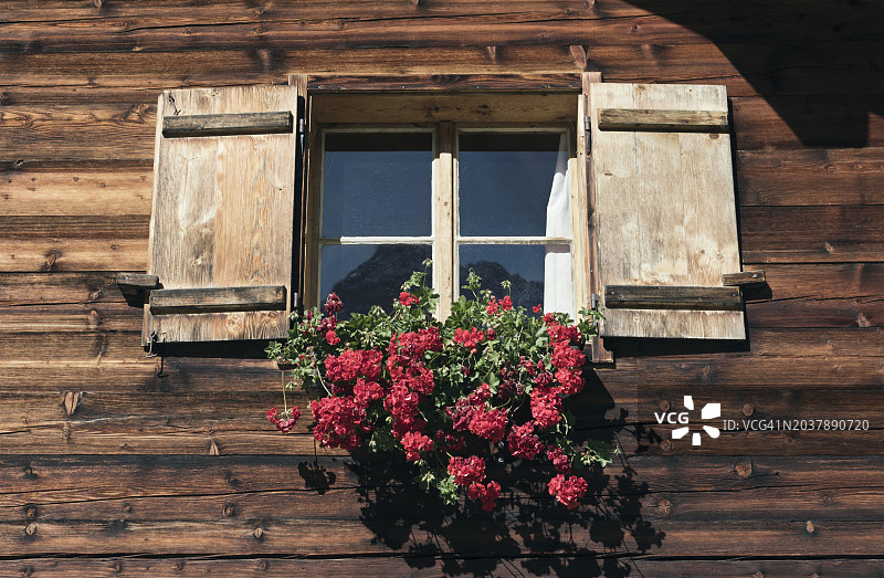 带天竺葵的木制高山小屋窗户图片素材