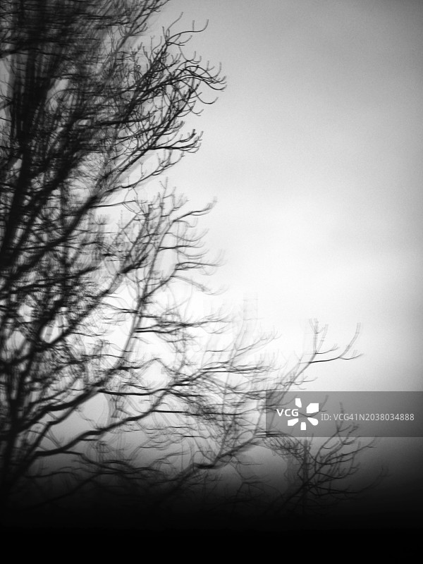 法国巴黎多云天空背景下的光秃树枝。透过雾蒙蒙的窗户拍摄的黑白散焦照片。阳光图片素材