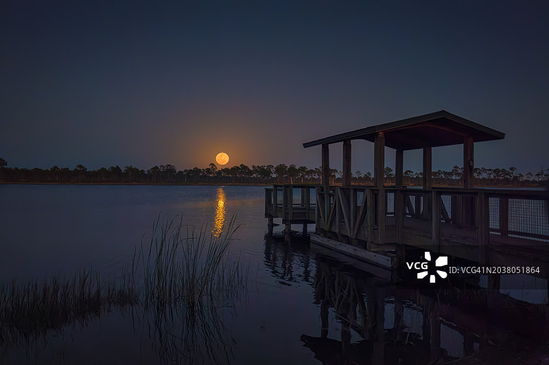 佛罗里达蓬塔戈尔达附近，巴布科克野生动物管理区蓝色时刻，韦伯湖上渔人码头升起的满月图片素材