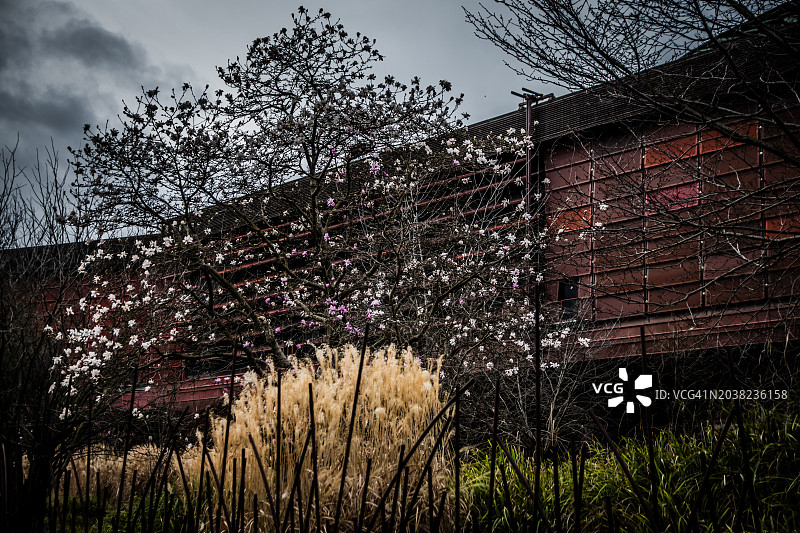 植物外墙图片素材