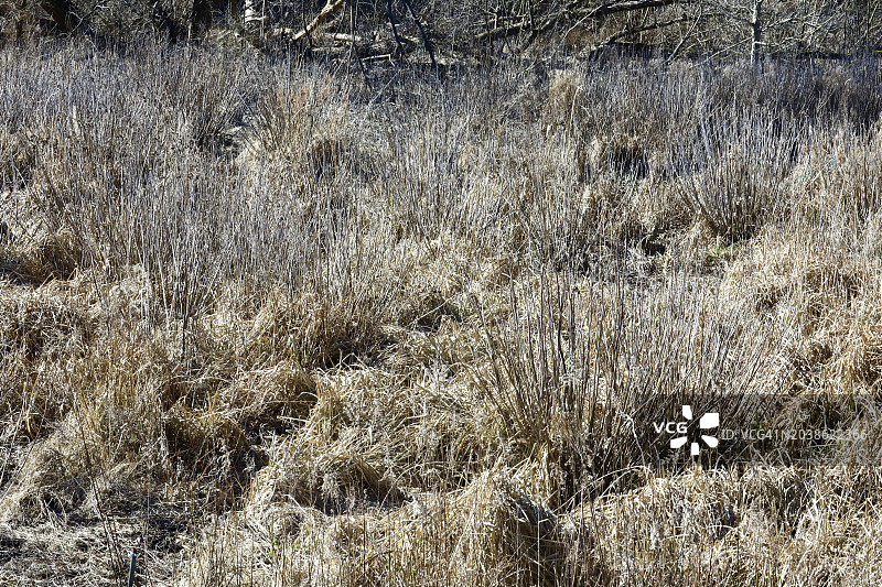 干涸的湿地图片素材
