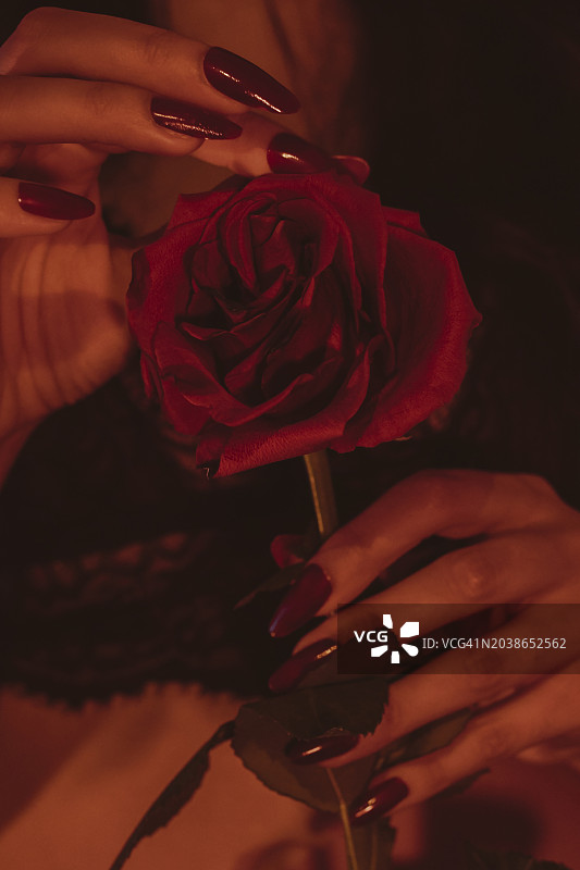 女人采摘红色玫瑰花图片素材