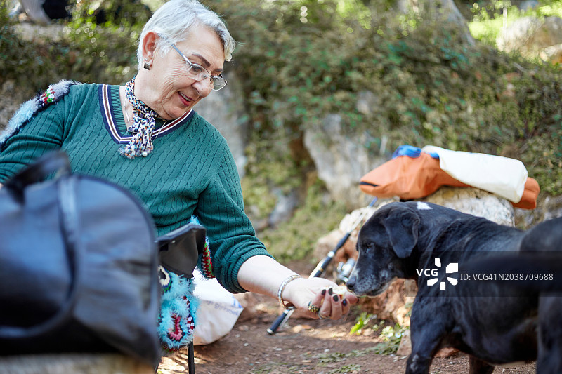 退休妇女在野外喂流浪狗图片素材
