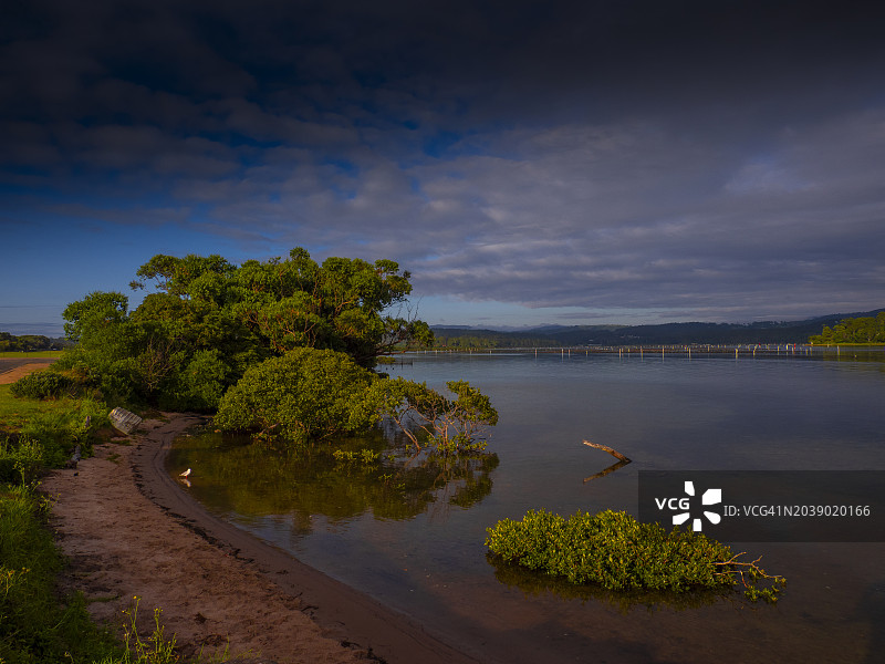 澳大利亚新南威尔士州梅里布拉南海岸的夏日清晨图片素材