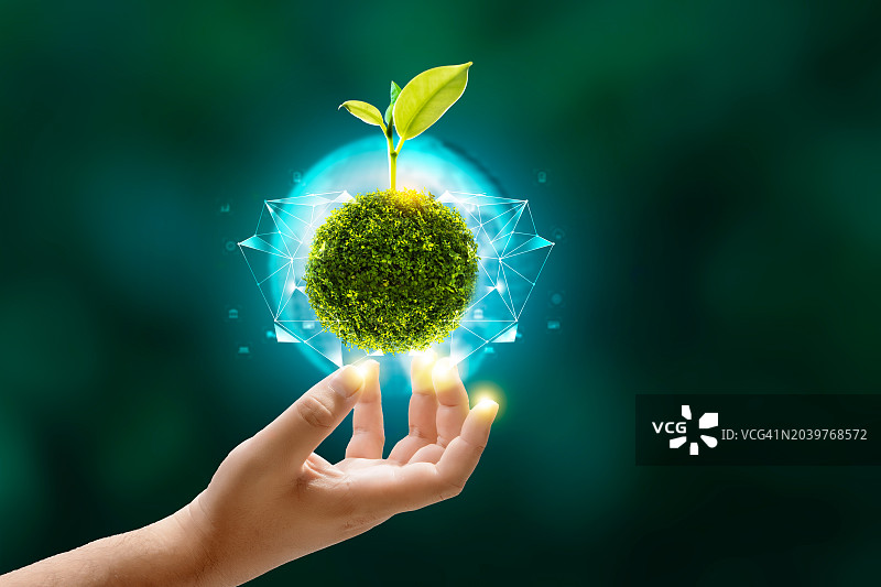 可再生能源概念地球日或环保双手保护生长在地面上的森林，帮助拯救世界。图片素材