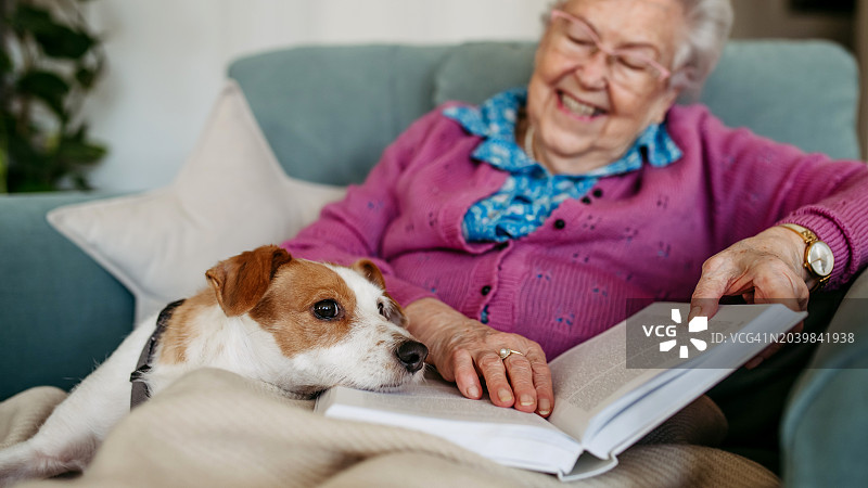 老年妇女坐在扶手椅上看书，狗躺在她身边。狗是老年人的伴侣。带有复制空间的banner图片素材