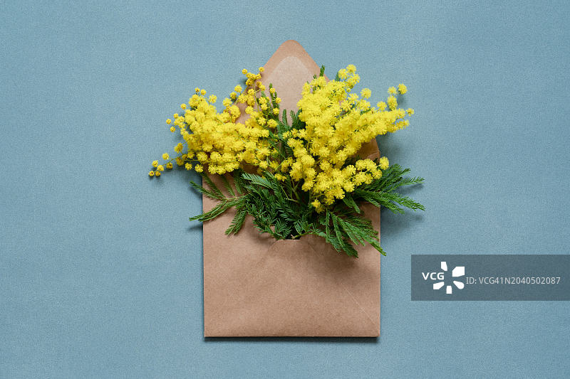 蓝色背景上的花朵特写图片素材