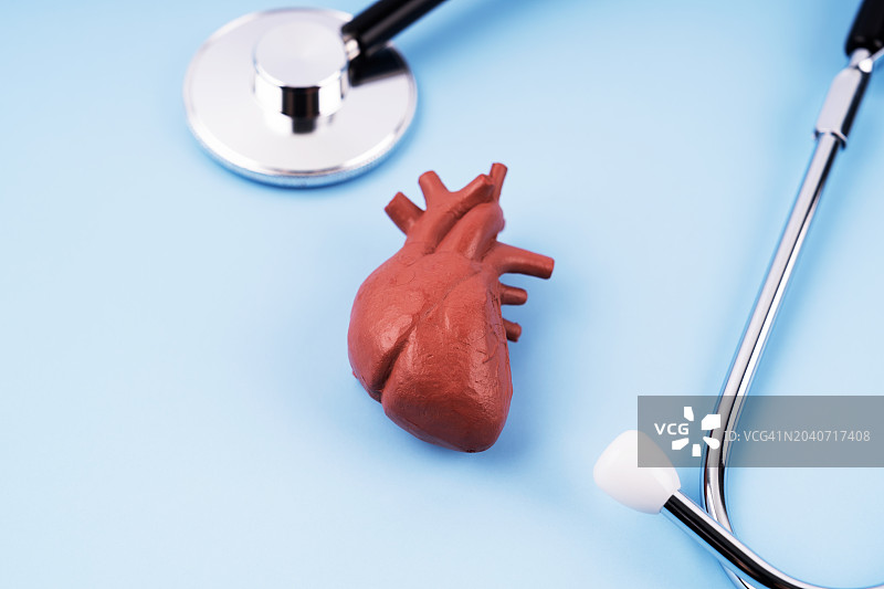 听诊器与人体心脏解剖模型图片素材
