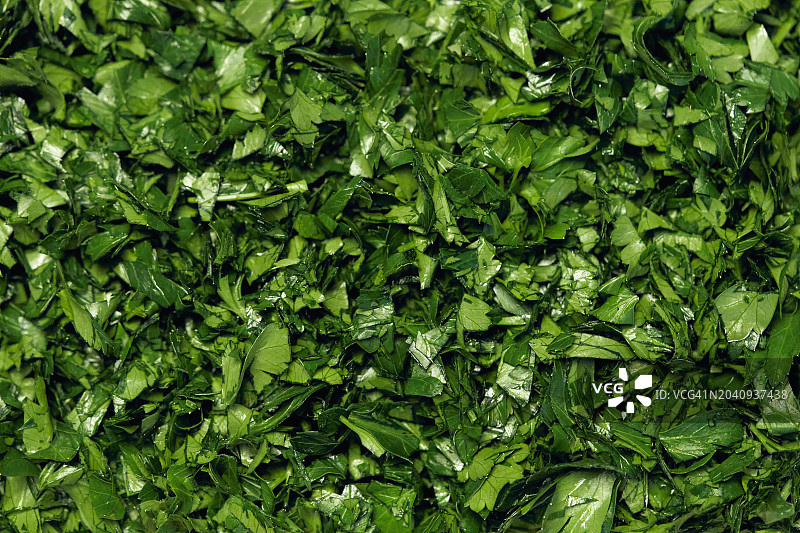 鲜绿色欧芹叶图片素材