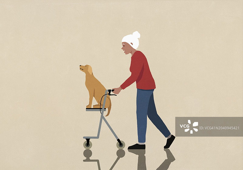 推着宠物犬在助行器上行走的年长妇女图片素材