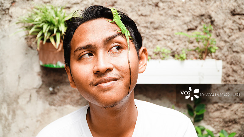 在脸上爬行的小绿鬣蜥图片素材