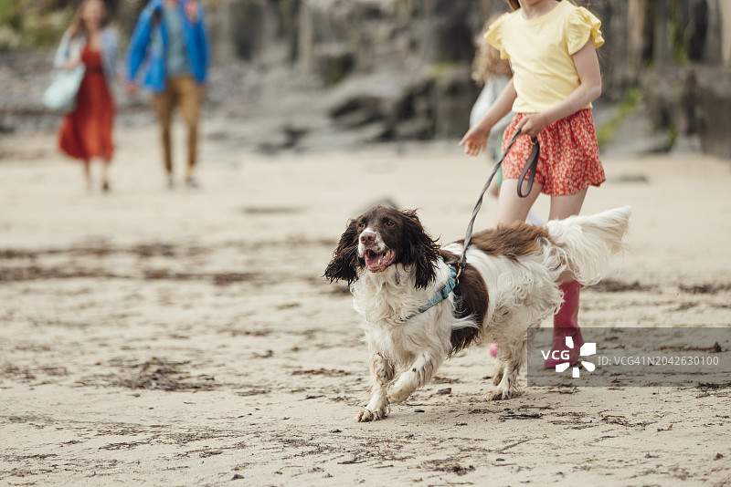 与狗一起奔跑图片素材