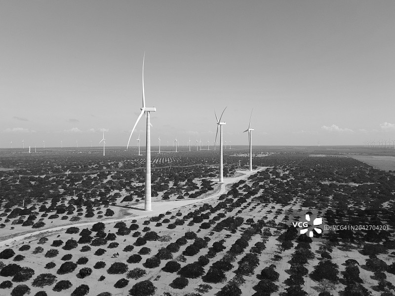 黑白航拍：巴西北里奥格兰德州的风力涡轮机农场图片素材