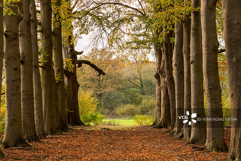 死胡同图片素材