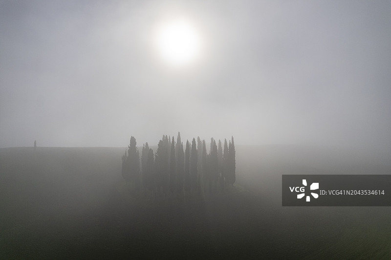 托斯卡纳：卡西亚公路沿线的柏树图片素材