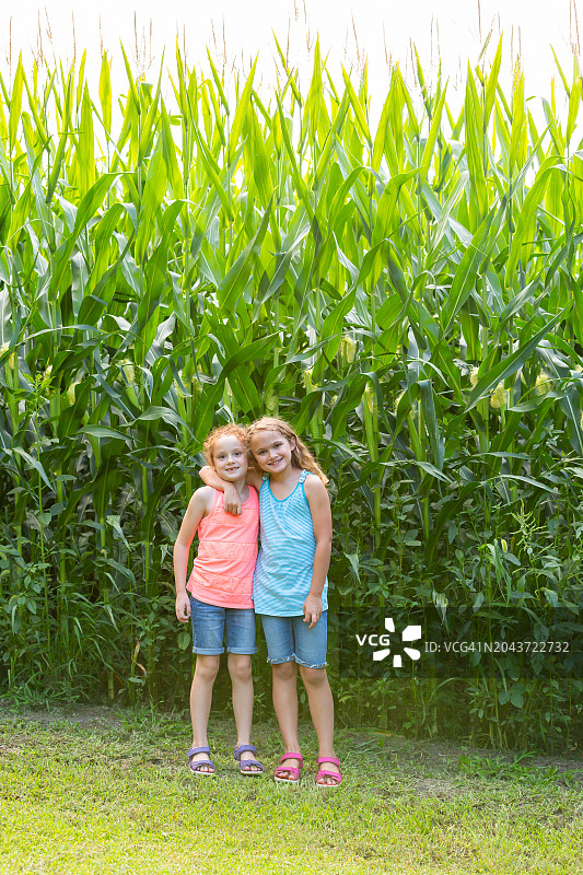 两个女孩站在高高的玉米田旁图片素材