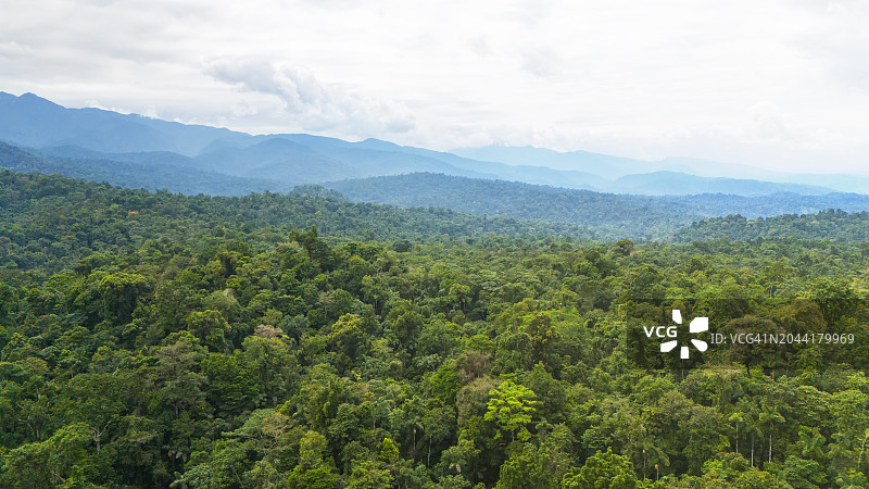 壮丽雨林与塔拉曼卡山脉图片素材