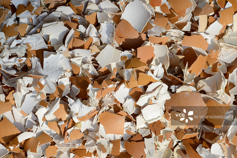 一堆破碎的鸡蛋壳图片素材