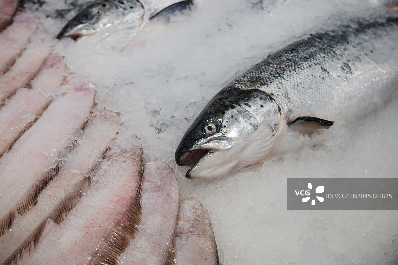 鱼市场冰上鱼的特写图片素材