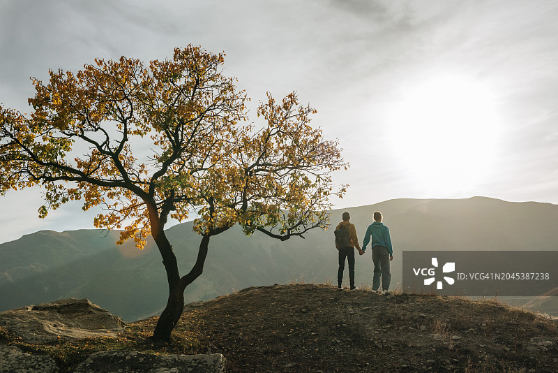 情侣站在山顶树旁的日落剪影图片素材
