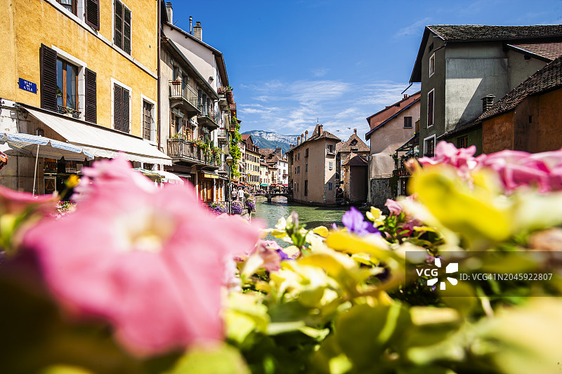 蒂乌河畔鲜花盛开图片素材