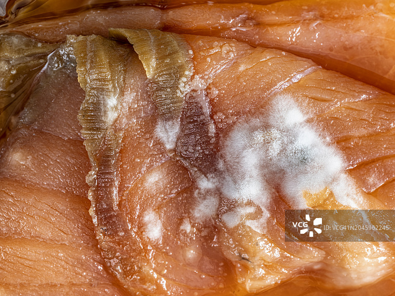 变质发霉的烟熏三文鱼切片图片素材