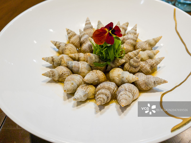 煮熟的白蜗牛图片素材