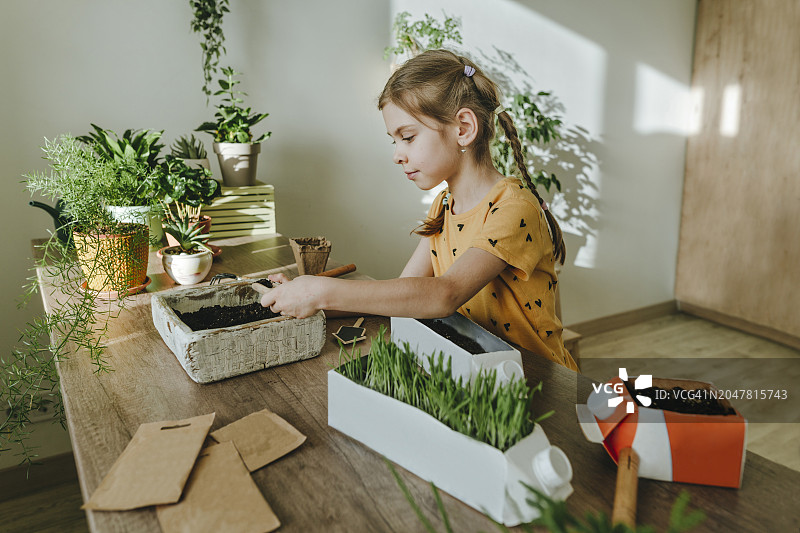 创意女孩在家将牛奶盒升级改造成花盆图片素材