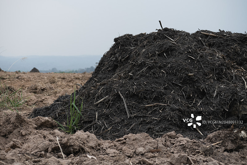 农田上的有机堆肥堆，种植前改良土壤图片素材