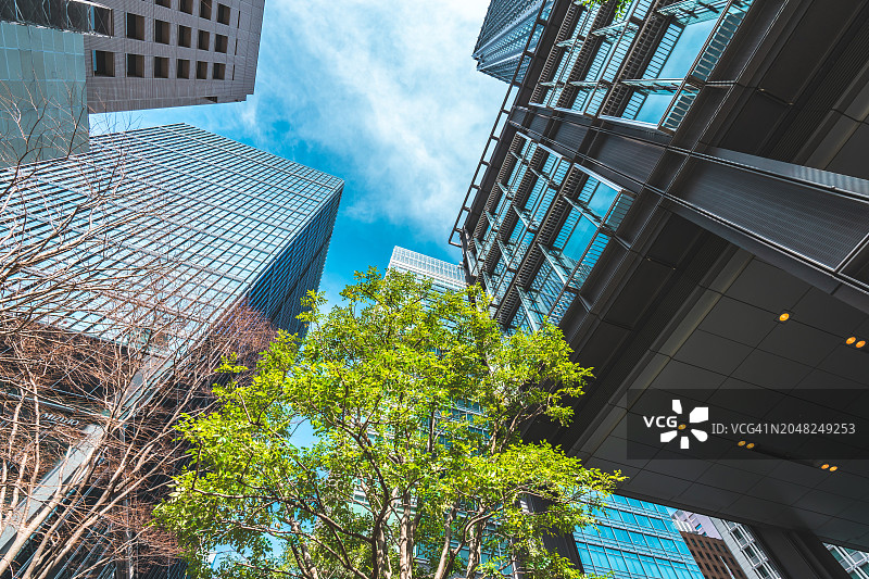 东京丸之内商业大厦与绿叶图片素材