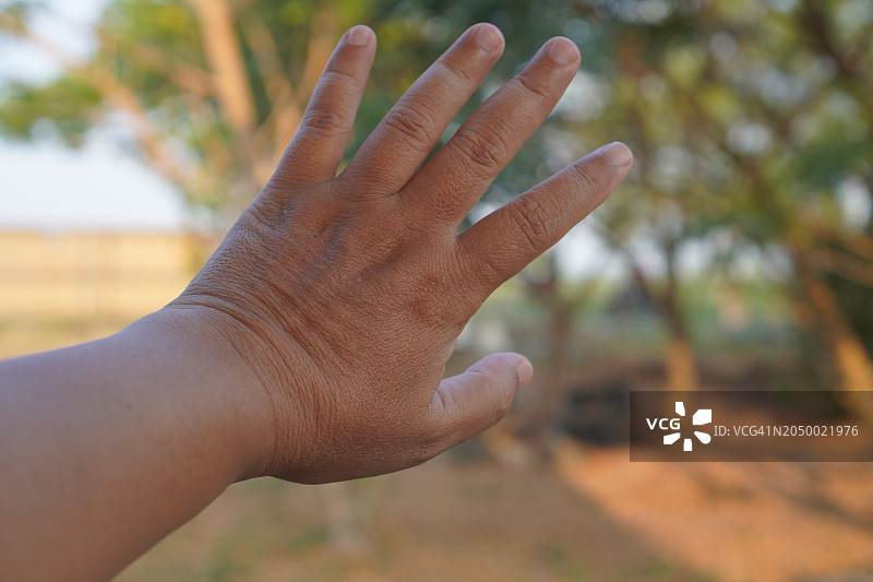 特写：亚洲女性的手展示数字五，手掌在后，在白色背景上复制空间符号语言图片素材