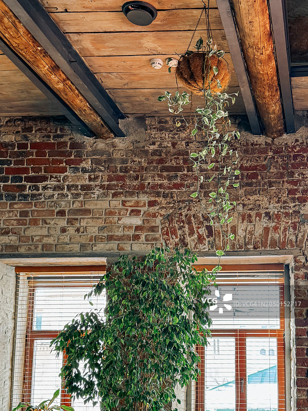 带有天花板绿化的美丽阁楼式建筑图片素材