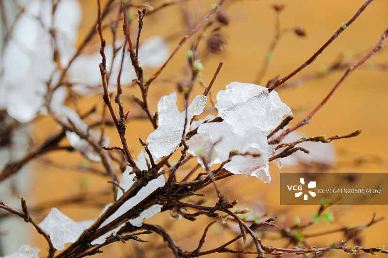 融化的雪图片素材