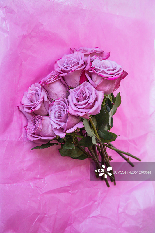 粉色背景上的玫瑰花束，情人节鲜花，爱的礼物图片素材