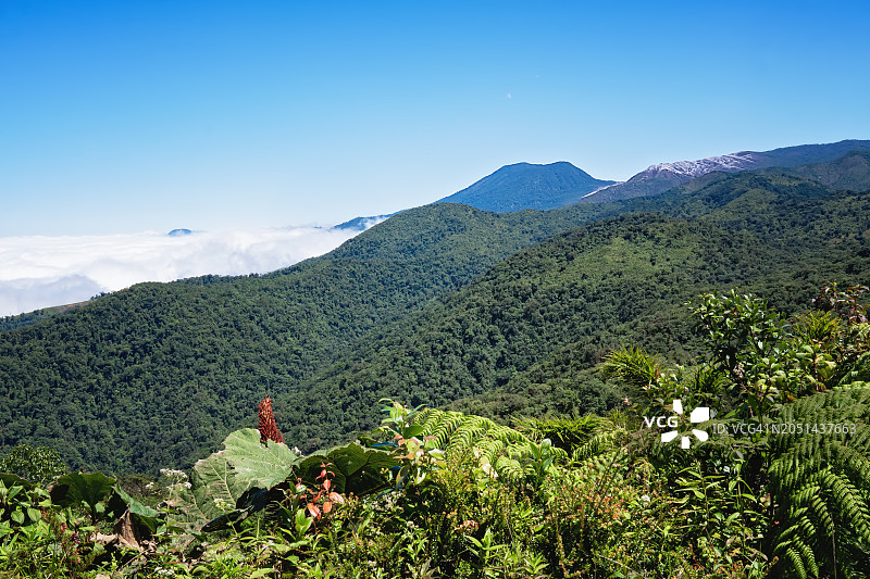 哥斯达黎加的山地火山景观图片素材