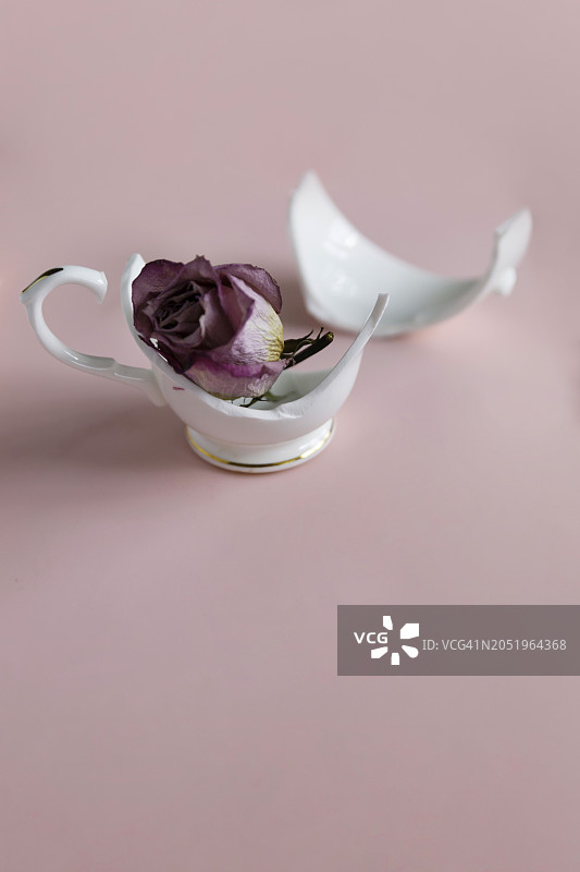 粉色背景破损杯子里的干枯粉色玫瑰花头，留白图片素材