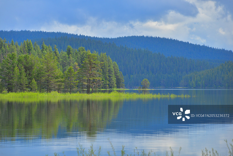 荒野中松树环绕的湖面倒影图片素材