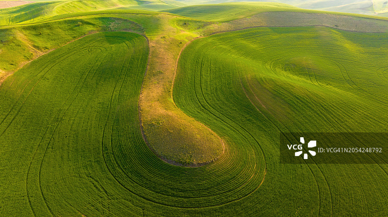 华盛顿州东部帕卢斯连绵起伏的草地航拍图片素材