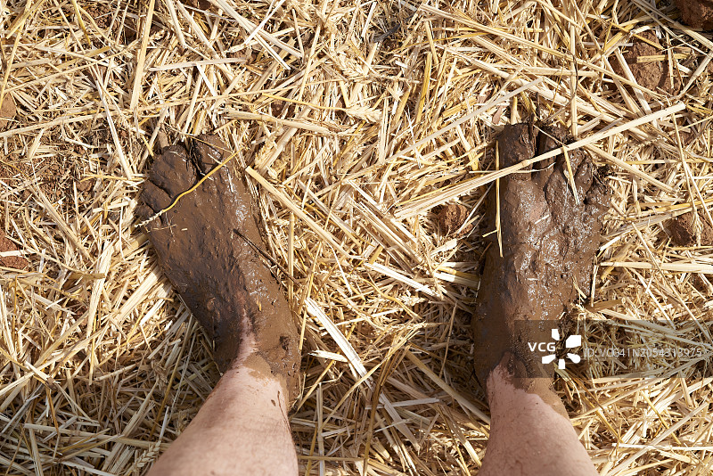 泥泞的脚踩在稻草地上图片素材