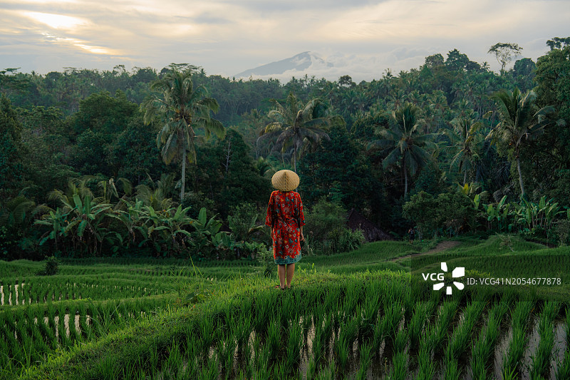 戴着斗笠，在稻田里行走的模糊女性图片素材