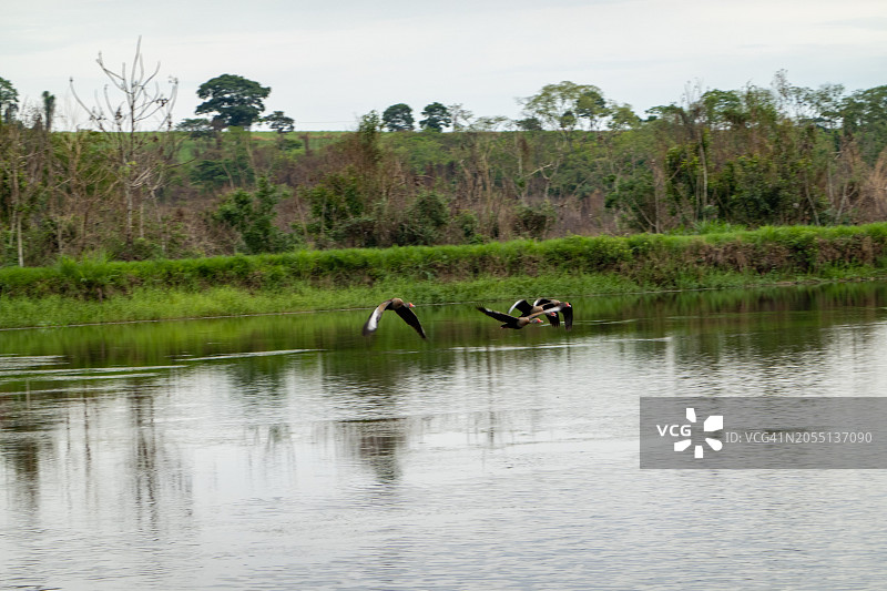 农场湖泊图片素材