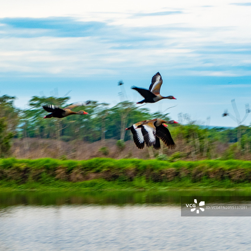 农场湖泊图片素材