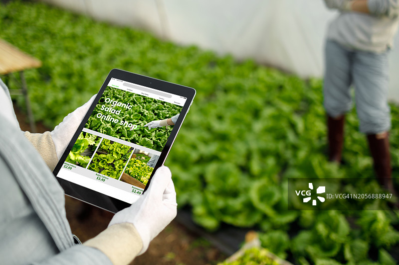 有机沙拉网上商店图片素材