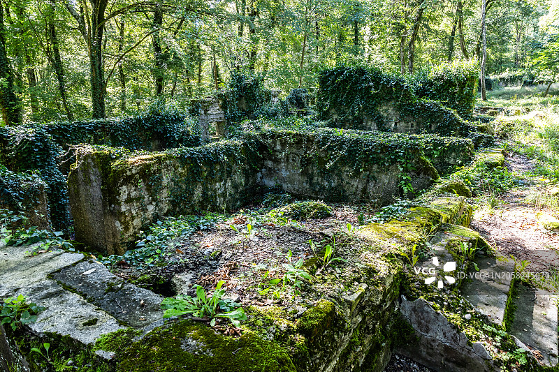 凡尔登战役：法国凡尔登战场森林中被毁房屋的废墟图片素材