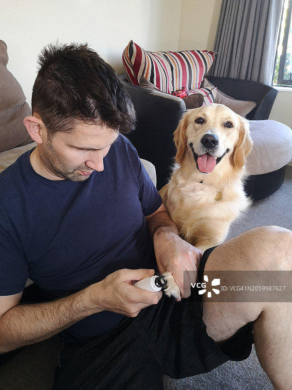 男子为狗修剪指甲图片素材