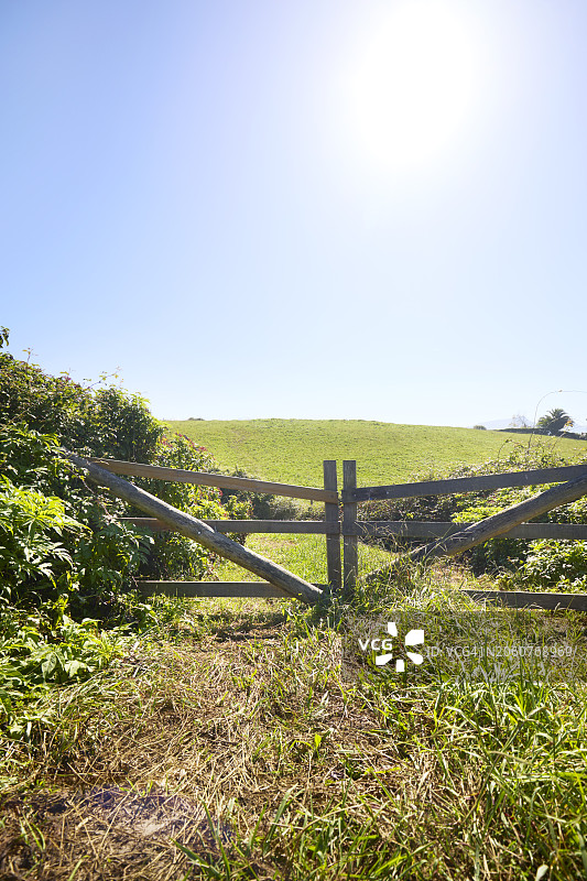 蓝色天空和阳光下的牧场大门图片素材