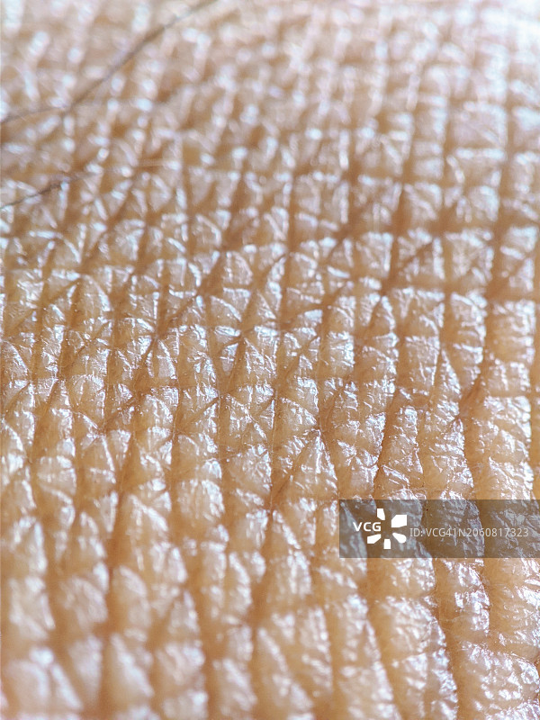 皮肤宏观纹理图片素材