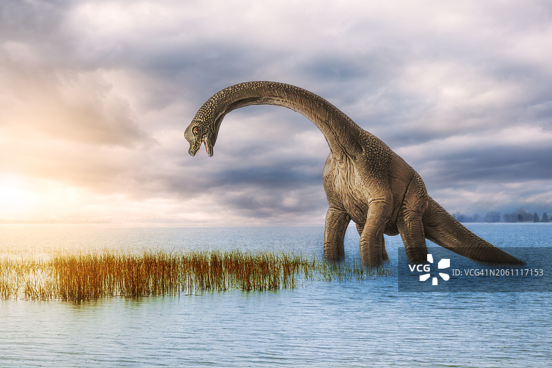 湖中的恐龙图片素材